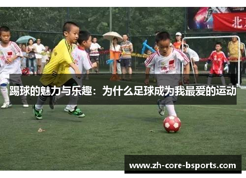 踢球的魅力与乐趣：为什么足球成为我最爱的运动