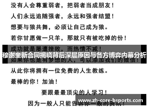 穆谢奎新合同揭晓背后深层原因与各方博弈内幕分析