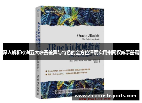 深入解析欧洲五大联赛差异与特色的全方位深度实用指南权威手册篇