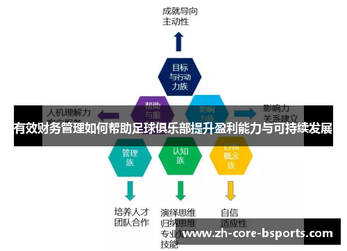 有效财务管理如何帮助足球俱乐部提升盈利能力与可持续发展 有效财务管理如何帮助足球俱乐部提升盈利能力与可持续发展